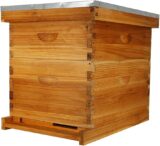 10-Frame Langstroth Beehive wooden base