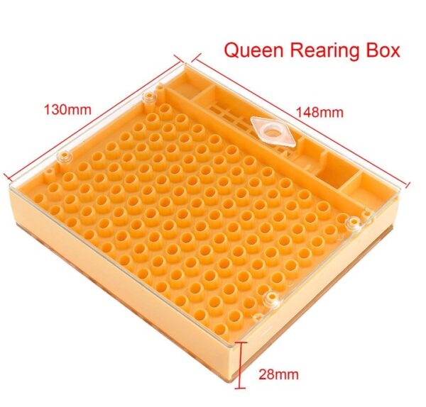 Queen Cup System Starter Kit - Image 4