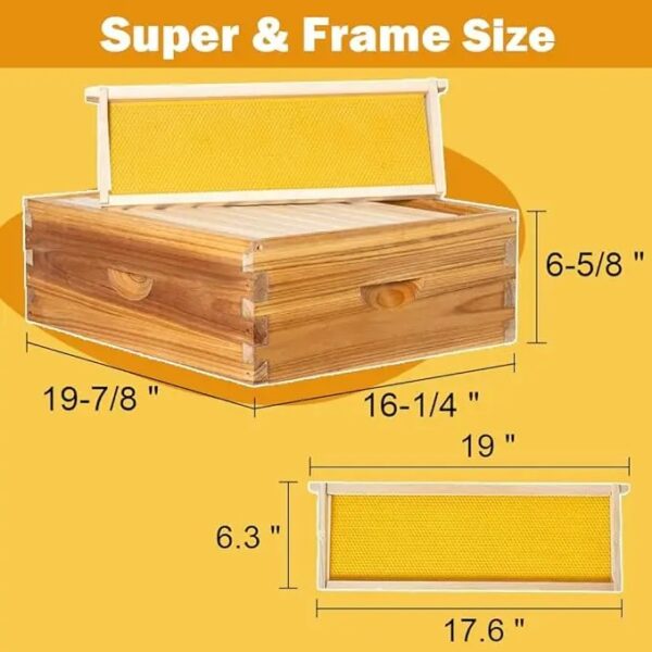 10-Frame Langstroth Beehive screen base dip in wax - Image 3