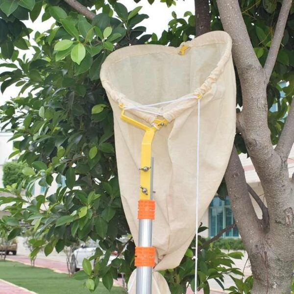 Bee Swarm Catcher with rod - Image 2