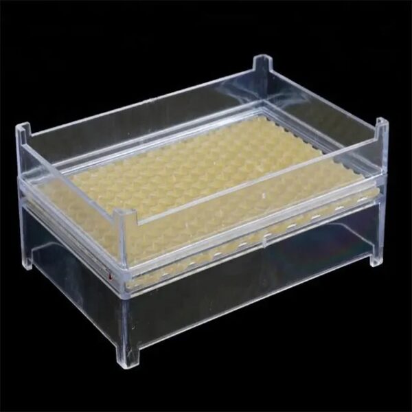 250g PlasticHoney Comb Box without Wax Foundation