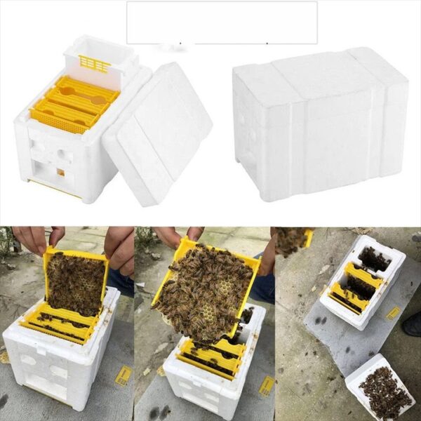 Mini Mating Box B-MM01 - Image 4