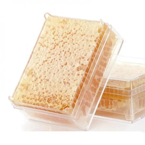 250g PlasticHoney Comb Box without Wax Foundation - Image 4