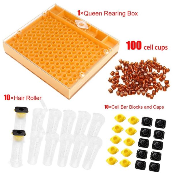 Queen Cup System Starter Kit - Image 2