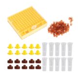 Queen Cup System Starter Kit