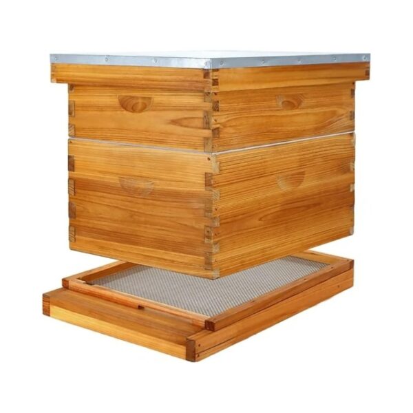 10-Frame Langstroth Beehive screen base dip in wax