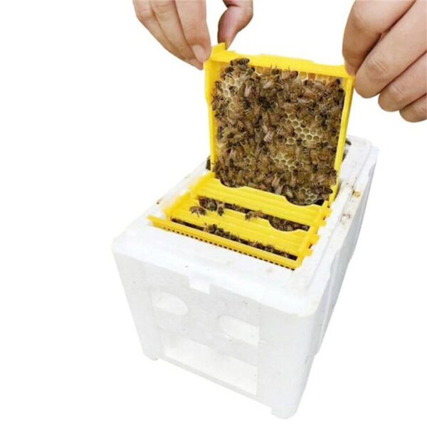 Mini Mating Box B-MM01 - Image 5