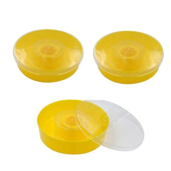 European Top Bee Feeder - Image 2