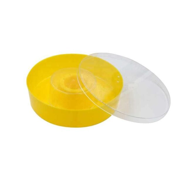 European Top Bee Feeder - Image 3