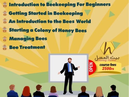 Bees-course-3