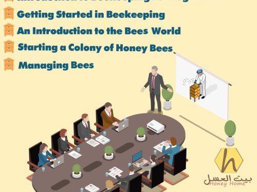 Bees course 2